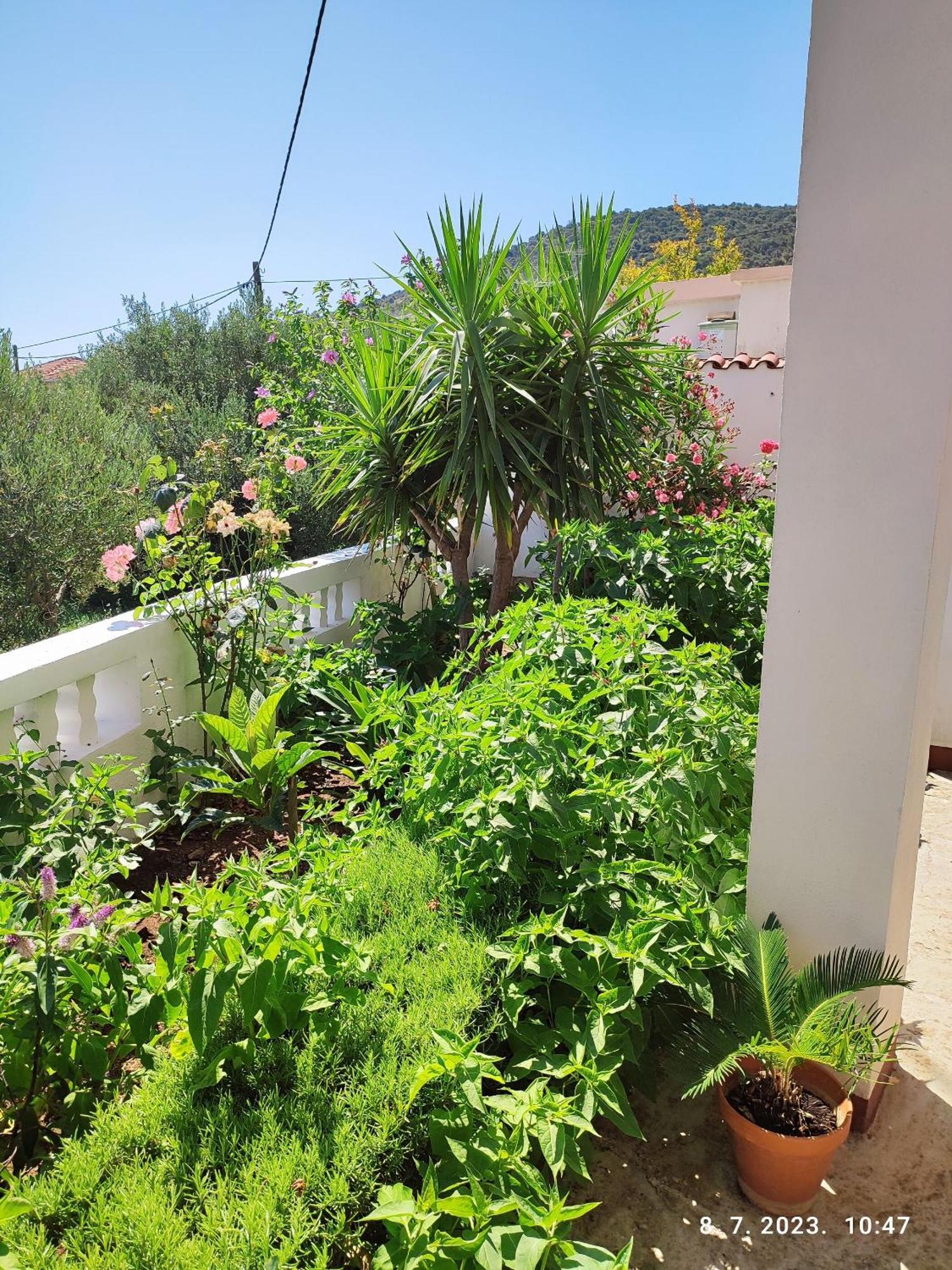 Apartment Slaven Vinisce Exterior photo