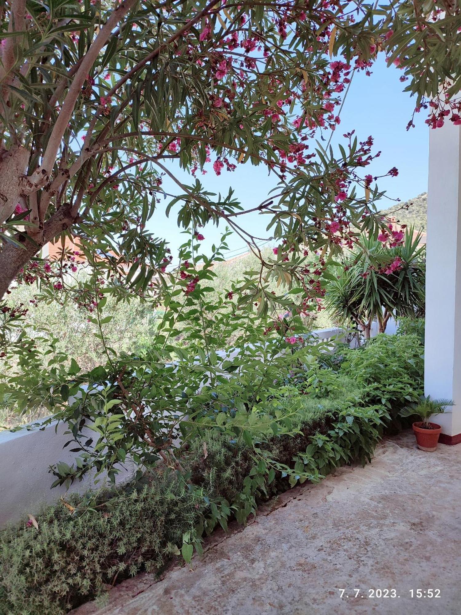 Apartment Slaven Vinisce Exterior photo